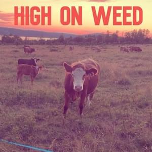 High On Weed - Waylon Napadogan