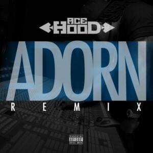 Adorn (Freestyle) - Ace Hood