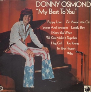 We Can Make It Together (Do You Want Me?) - Donny Osmond