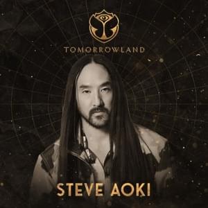 Commentary 1 (from Tomorrowland 2022:  Steve Aoki at Mainstage, Weekend 2) [Mixed] - ID