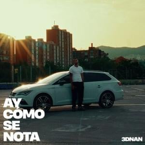 AY CÓMO SE NOTA - 3dnan