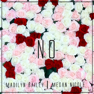 No - Madilyn Bailey & Megan Nicole