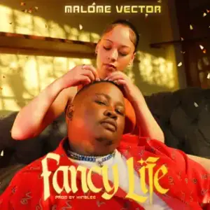 Fancy Life - Malome Vector