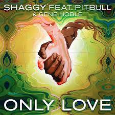 Only Love - Shaggy (Ft. Gene Noble & Pitbull)