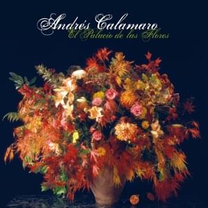 Contigo Aprendí - Andrés Calamaro