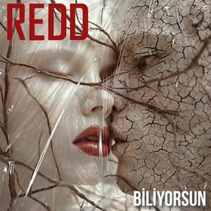 Biliyorsun - Redd