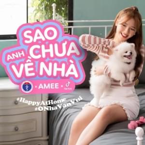 Sao Anh Chưa Về Nhà (Stay Home Version) - AMEE