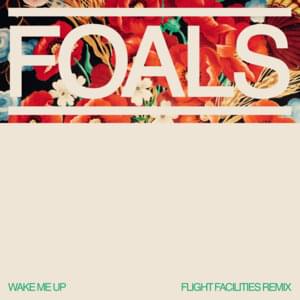 Wake Me Up (Flight Facilities Remix) - Foals