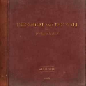 Fewer Ghosts (Acoustic) - Joshua Radin