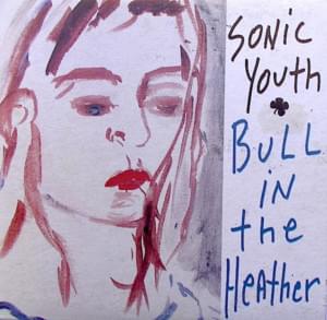 Bull in the Heather - Sonic Youth