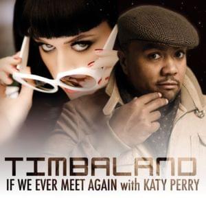 If We Ever Meet Again (Radio Edit) - Timbaland (Ft. Katy Perry)