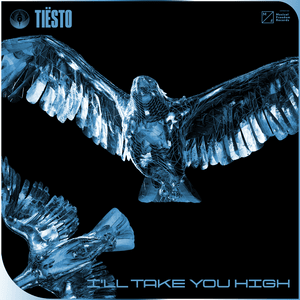 I’ll Take You High - Tiësto