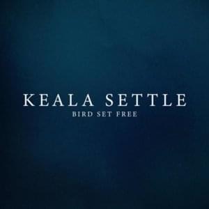 Bird Set Free - Keala Settle