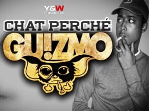 Chat perché - Guizmo