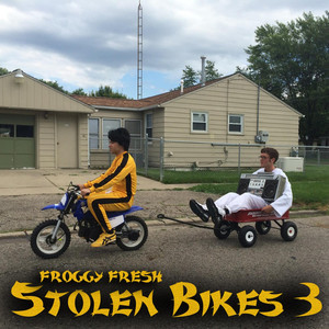 Stolen Bikes 3 - Froggy Fresh