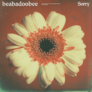 Sorry (Alternate Edit) - ​beabadoobee