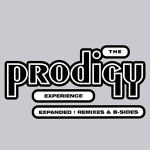 Wind It Up (Rewound) - T​he Prodigy