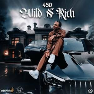 Wild n Rich - 450