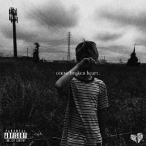 Ceuve Broken Heart - Rojuu