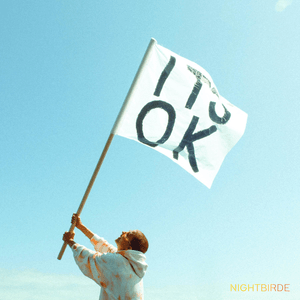 IT’S OK - Nightbirde