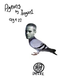 PIGEONS - ​yxngxr1