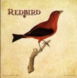 Hold On - Redbird