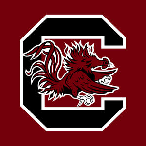 The Fighting Gamecocks Lead the Way - University of South Carolina