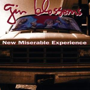 Pieces of the Night - Gin Blossoms