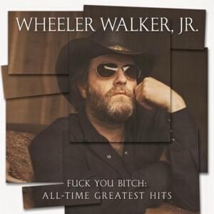 Drunk As Fuck - Wheeler Walker Jr.