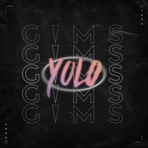 YOLO - GIMS