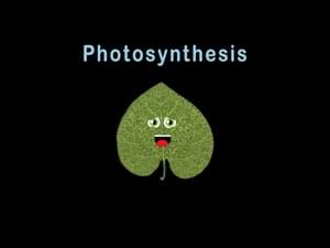 Photosynthesis/Photosynthesis - Kids Learning Tube