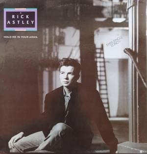 Hold Me In Your Arms (Extended Mix) - Rick Astley