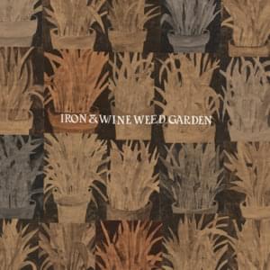 Talking to Fog - Iron & Wine