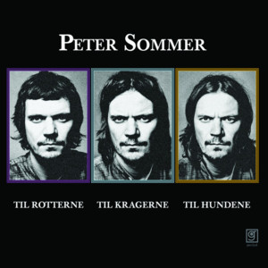 Himmelflugt - Peter Sommer