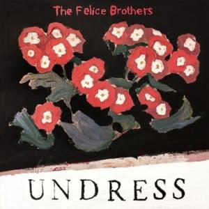 Hometown Hero - The Felice Brothers