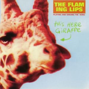 This Here Giraffe - The Flaming Lips