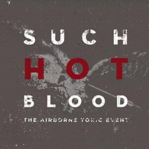 Dublin - The Airborne Toxic Event