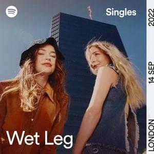 Convincing (Spotify Singles) - Wet Leg