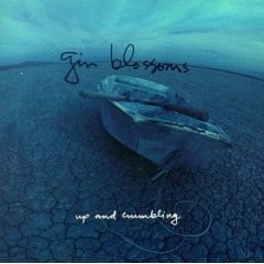 Just South of Nowhere - Gin Blossoms