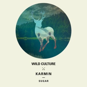 Sugar - Wild Culture & Karmin (Ft. Karmin & Wild Culture)