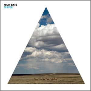 Shivering Fawn - Fruit Bats