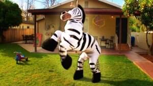 Dope Zebra - Rhett and Link