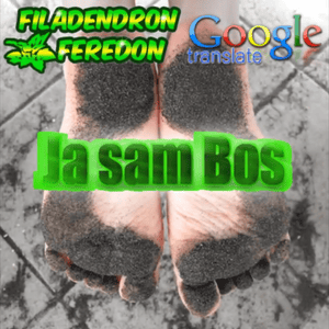 Ja Sam Bos - Filadendron Feredon (Ft. Google Translate)