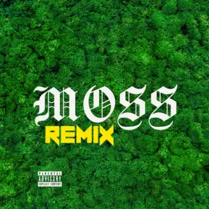 Moss (Remix) - RiFF RAFF, Yelawolf & Nakani (Ft. Suicideyear)