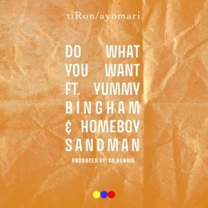 Do What You Want - TiRon & Ayomari (Ft. Homeboy Sandman & Yummy Bingham)