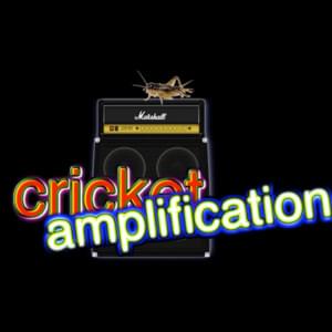 ​cricket amplification - Bill Wurtz