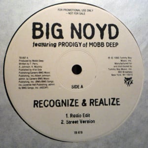 Recognize and Realize - Big Noyd (Ft. Prodigy)