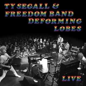 They Told Me Too (Live at Teragram Ballroom 2018) - Ty Segall