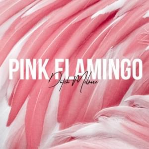 Pink Flamingo - Dutch Melrose