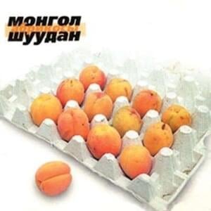 Песня про пиво (Song about beer) - Монгол Шуудан (Mongol Shuudan)